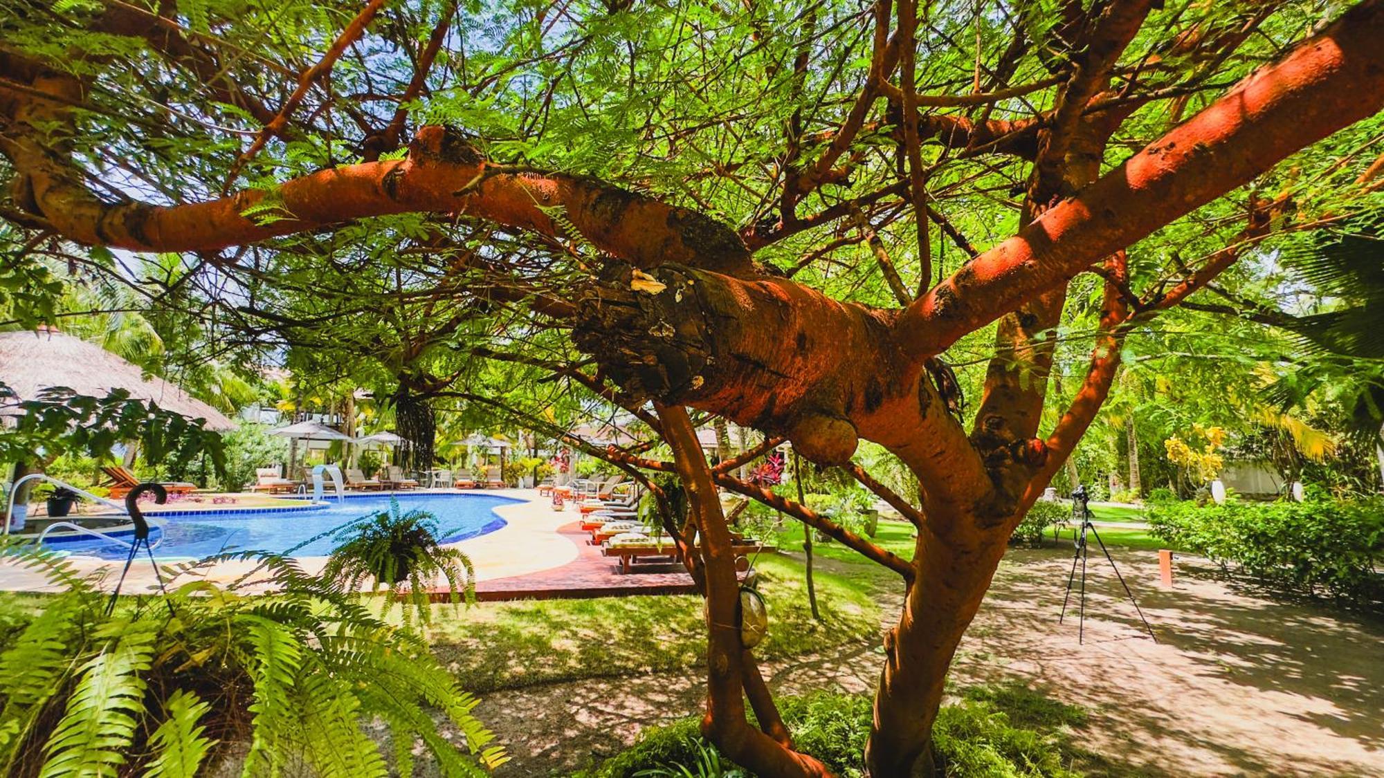 Casa Acayu Hotel Sao Miguel dos Milagres Luaran gambar